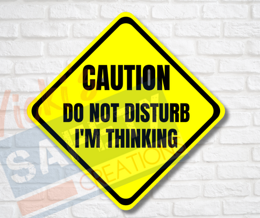 Vinyl Stickers-Do not disturb, I'm thinking (Multi-pack)