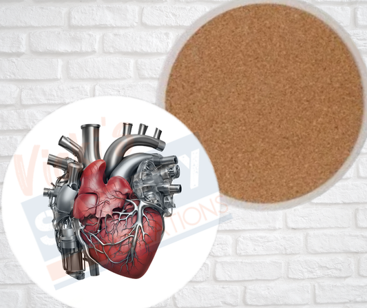 Ceramic Coasters - Rebuilt Heart