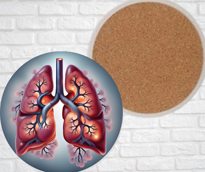 Ceramic Coasters - Lungs