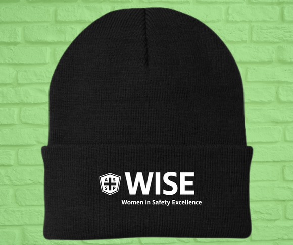 Knit Cap - (asst. colors) WISE