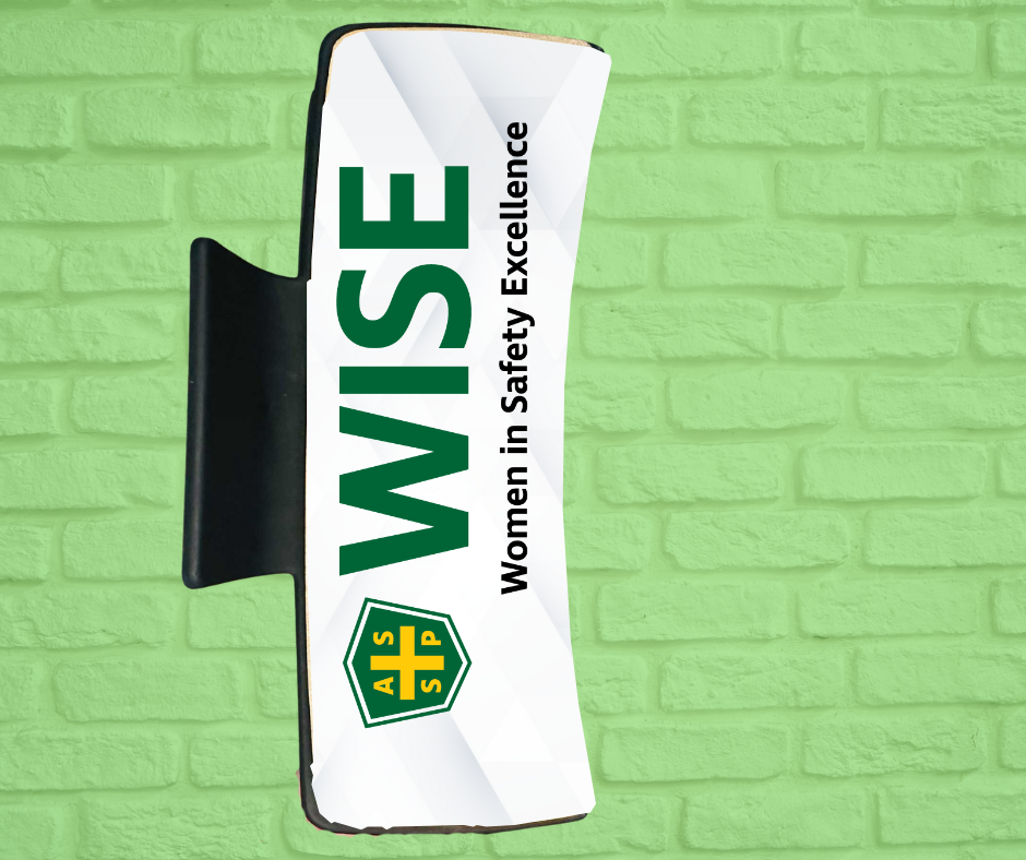 4in Hair Claw Clips-WISE (asst. colors)