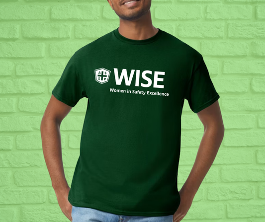 Basic Adult Unisex Cotton T-shirt, up to 5X (Asst Colors)-WISE