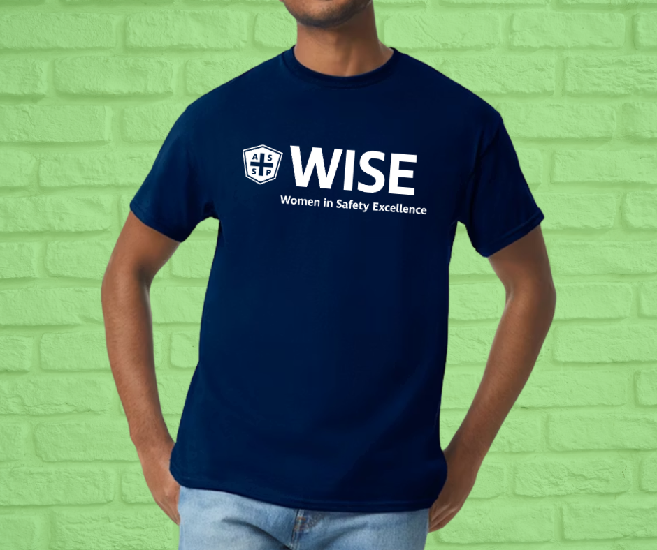 Basic Adult Unisex Cotton T-shirt, up to 5X (Asst Colors)-WISE