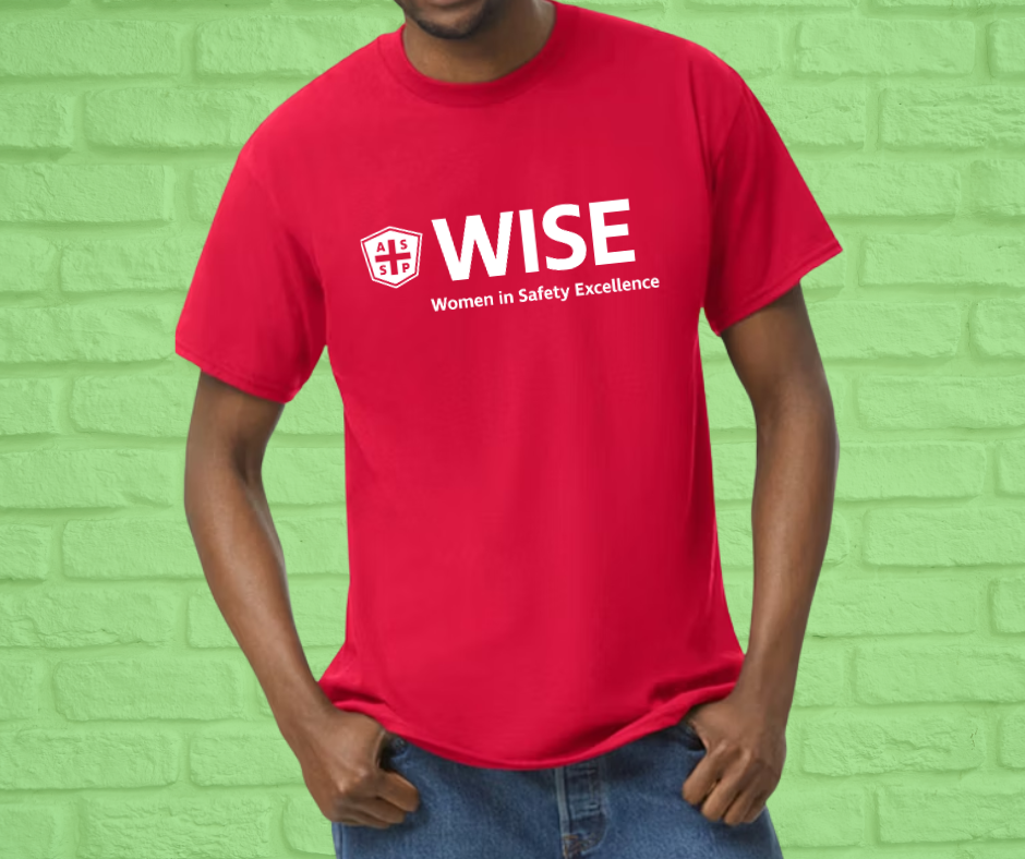 Basic Adult Unisex Cotton T-shirt, up to 5X (Asst Colors)-WISE