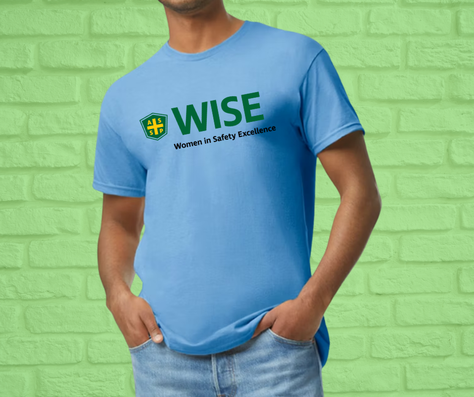 Basic Adult Unisex Cotton T-shirt, up to 5X (Asst Colors)-WISE