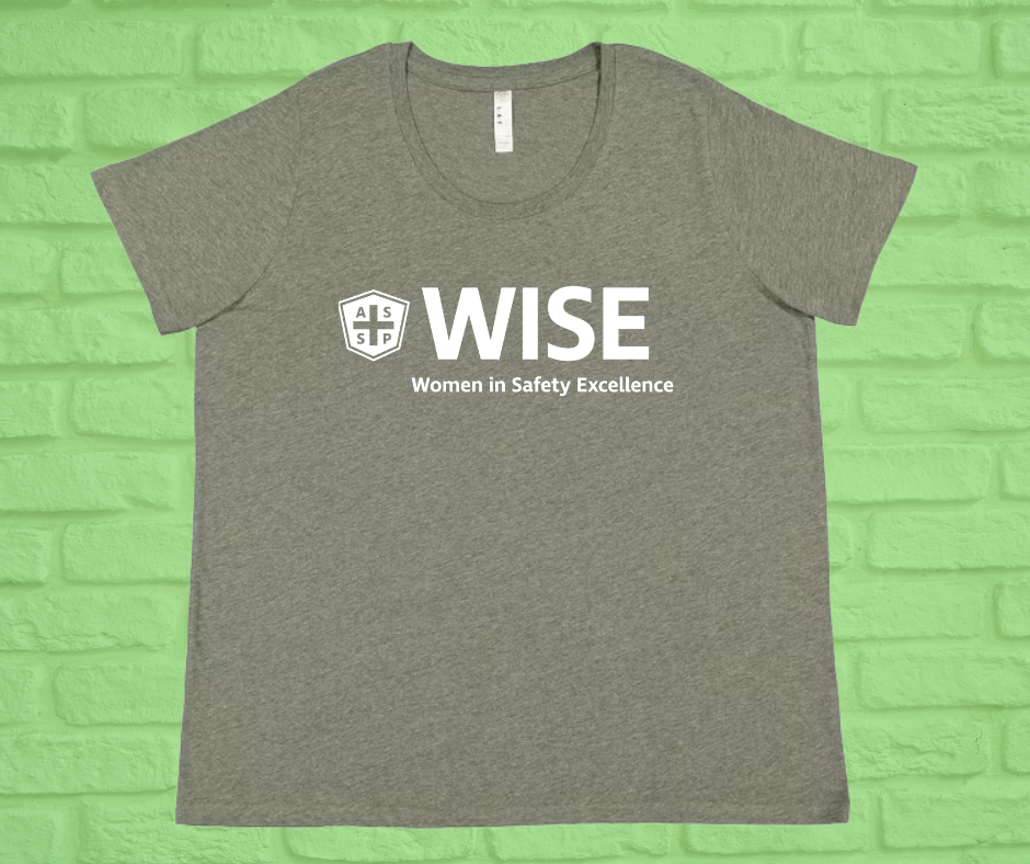 Women's Curvy Fine Jersey T-Shirt (Crew or V-Neck)-WISE