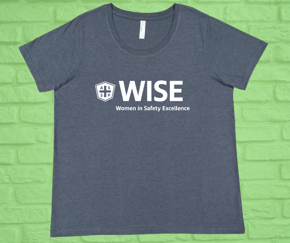 Women's Curvy Fine Jersey T-Shirt (Crew or V-Neck)-WISE