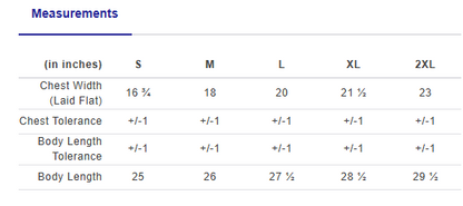 Soft style Women's Pique Polo - MPS