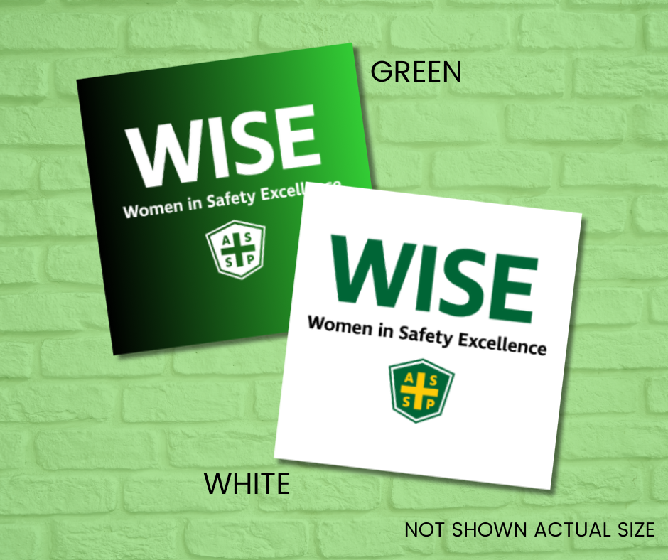 Magnet Set (10 piece) - WISE