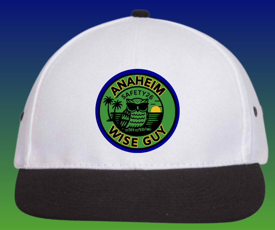 Baseball Cap - WISE Safety 2026