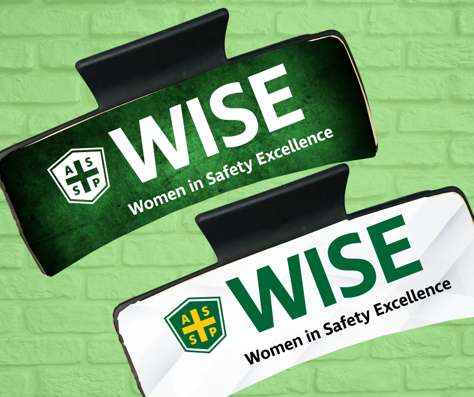 4in Hair Claw Clips-WISE (asst. colors)