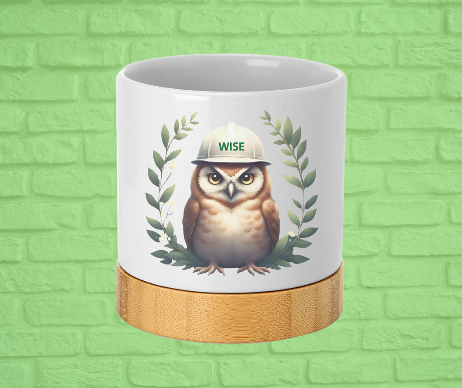 Small Desk Ceramic Planter-WISE