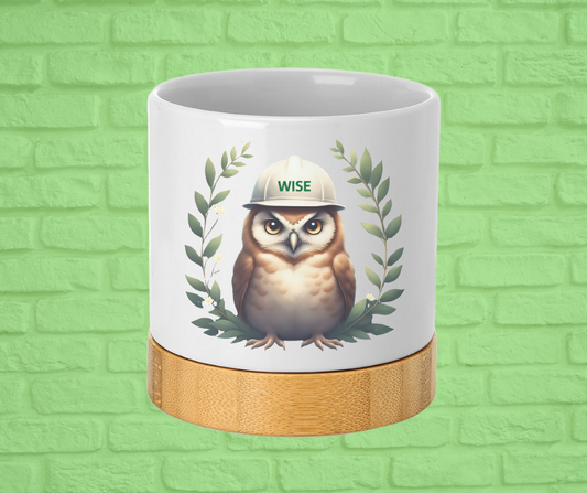 Small Desk Ceramic Planter-WISE