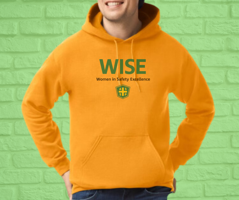 Basic Heavy Blend™ 50/50 Light Hoodie-WISE (asst.colors)