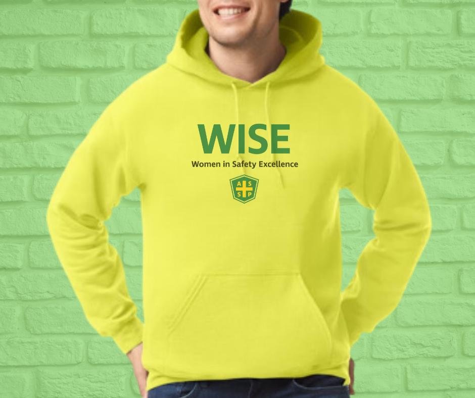 Basic Heavy Blend™ 50/50 Light Hoodie-WISE (asst.colors)