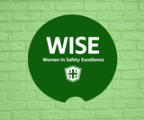 Neoprene Car Coasters (sold in sets of 2) - WISE, Asst. Colors